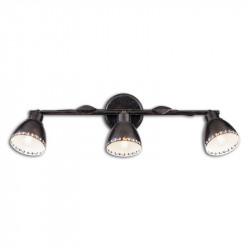 Спот Citilux CL509532 Робуста