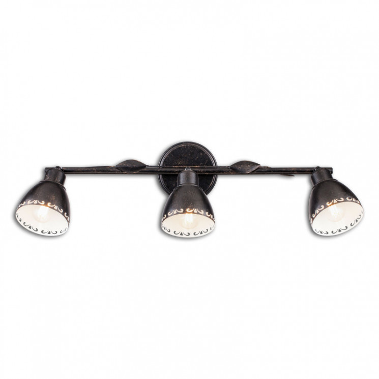 Спот Citilux CL509532 Робуста