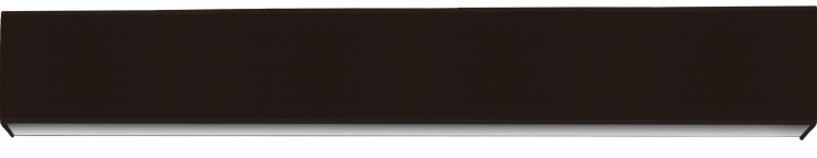 Светильник настенный BARUSS BS311/5W