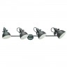 Светильник потолочный Arte lamp MARTIN A5215PL-4BG