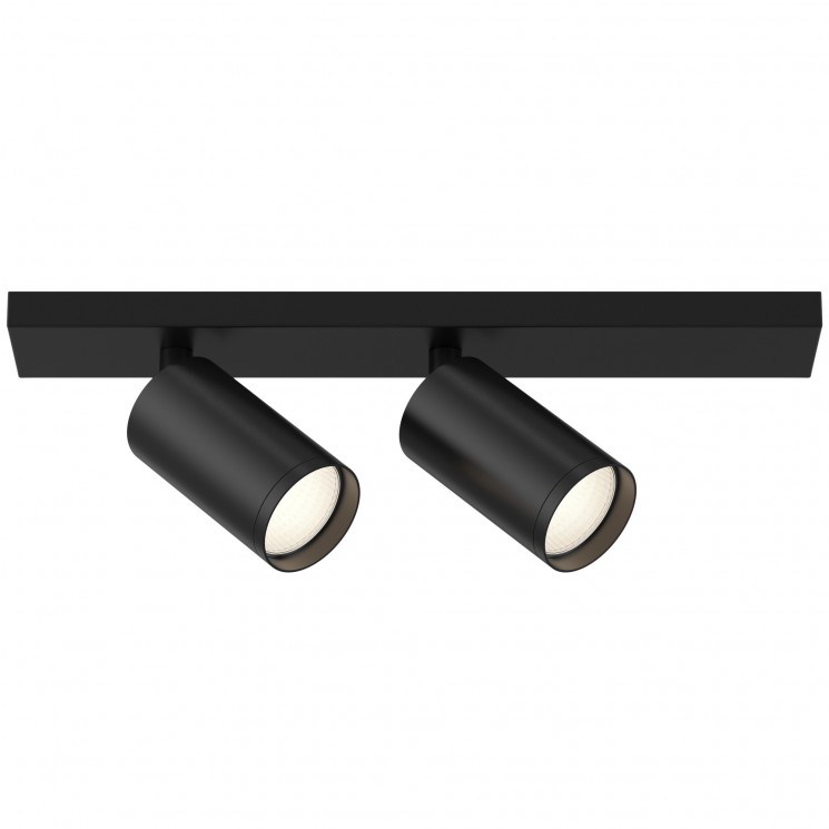 Потолочный светильник Maytoni C051CL-2B FOCUS