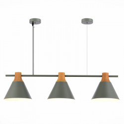 Подвесная люстра Evoluce SLE125113-03 Modica