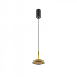 Подвесной светильник Maytoni MOD041PL-L15G3K El