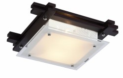 Настенно-потолочный светильник Arte Lamp A6462PL-2CK