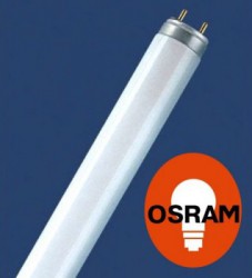 Лампа Osram L18/640 G13 D26mm 590mm (холодный белый)