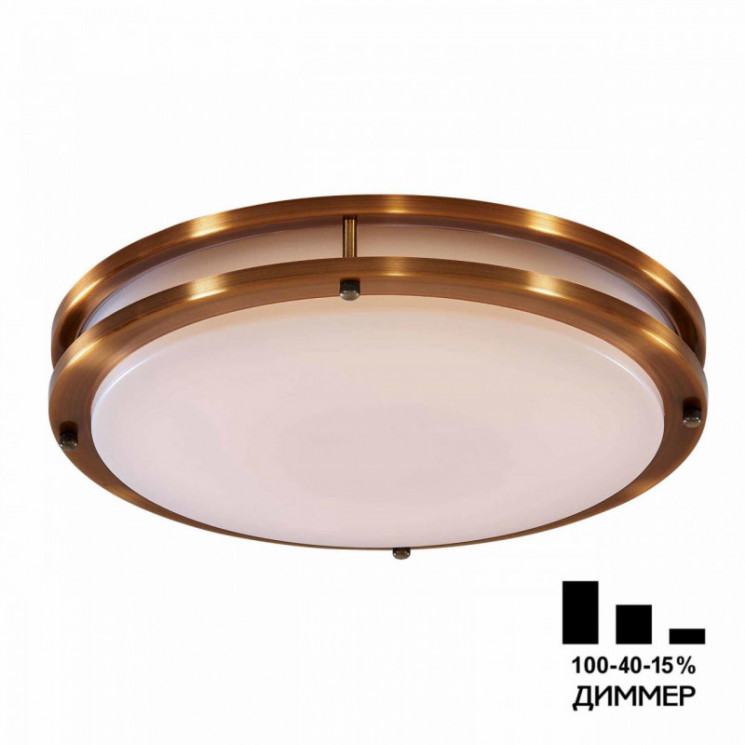 Накладной светильник Citilux CL709503N Бостон