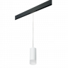 Комплект со светильником Rullo для трека PRO Rullo Lightstar PRORP648681