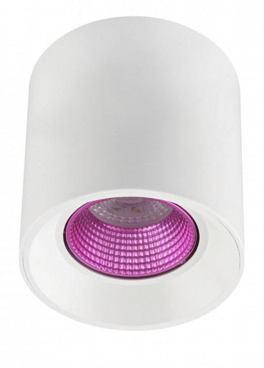 Накладной светильник Denkirs DK3090-WH+PI DK3020WPI