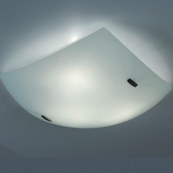 Настенно-потолочный светильник CITILUX CL934011