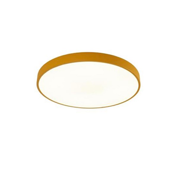 Потолочный светильник Arte Lamp A2661PL-1YL