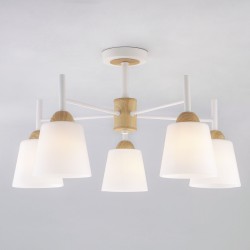 Потолочный светильник Eurosvet 70085/5 белый Fresco