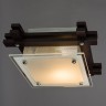 Настенно-потолочный светильник Arte Lamp A6462PL-1CK
