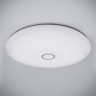 Накладной светильник Citilux CL703A200G Старлайт Смарт