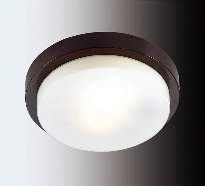 Светильник настенно-потолочный ODEON LIGHT 2744/2C HOLGER ip44