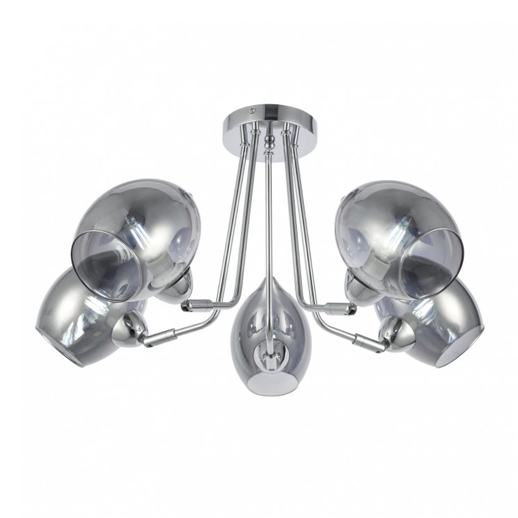 Люстра потолочная Evoluce RINNO SLE102402-05