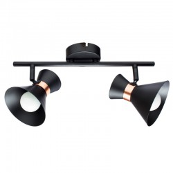 Светильник настенный Arte lamp BALTIMORE A1406AP-2BK