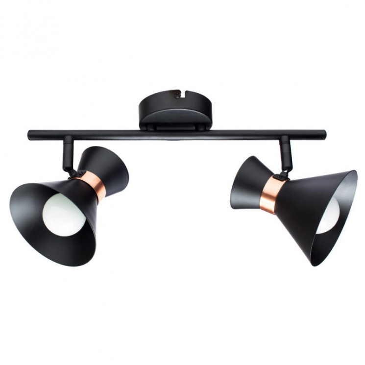 Светильник настенный Arte lamp BALTIMORE A1406AP-2BK