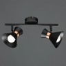 Светильник настенный Arte lamp BALTIMORE A1406AP-2BK