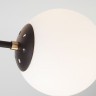 Потолочный светильник Eurosvet 70091/6 черный Austin