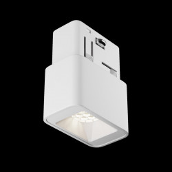 Светильник на шине Maytoni Technical Exility TR100-2-2W4K-S-W Points S