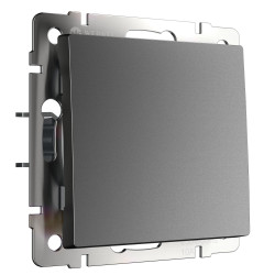 Выключатель одноклавишный проходной (графит матовый) W1112064 Werkel