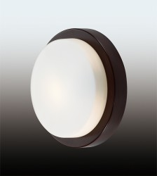 Светильник настенно-потолочный ODEON LIGHT 2744/1C HOLGER ip44