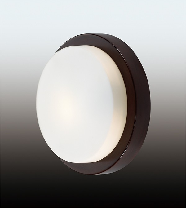 Светильник настенно-потолочный ODEON LIGHT 2744/1C HOLGER ip44