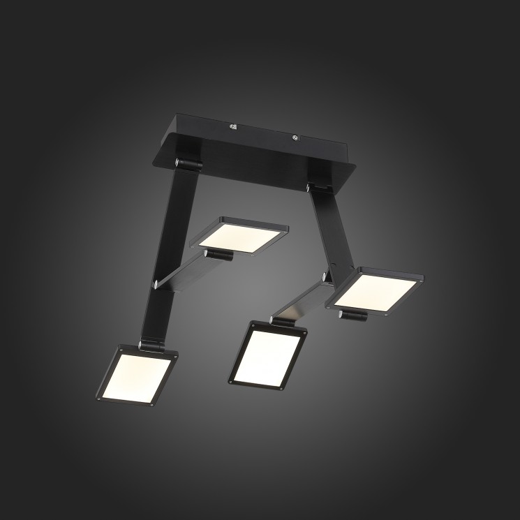 Светильник потолочный ST Luce SL841.402.04 TEOCOLI