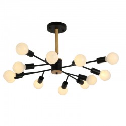 Люстра на штанге F-Promo 2585-12P Liber