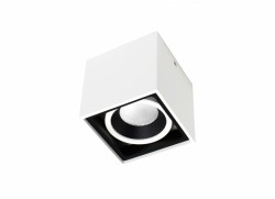 Cветильник Donolux DL18415/11WW-SQ White/Black Dim