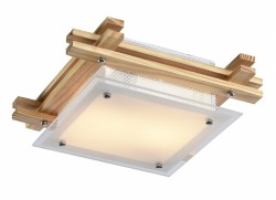 Настенно-потолочный светильник Arte Lamp A6460PL-2BR