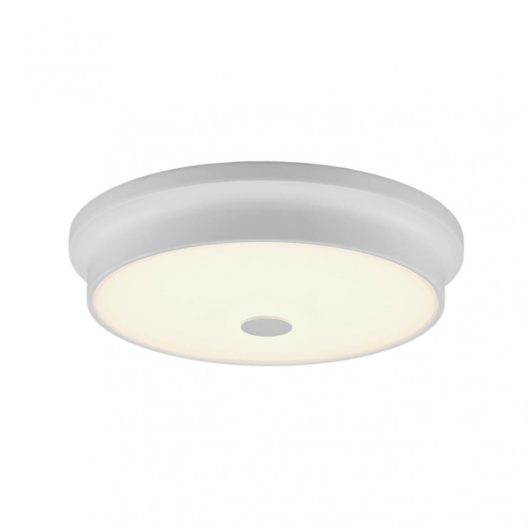 Светильник настенно-потолочный Citilux CL706230 Фостер-2