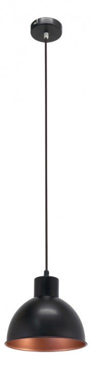 Подвесной светильник EGLO 49238 TRURO 1