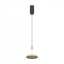 Подвесной светильник Maytoni MOD041PL-L15WG3K El