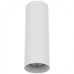 Светильник накладной Lightstar 216496 Rullo