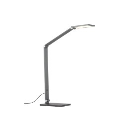 Настольная лампа ST Luce SL841.804.01 TEOCOLI