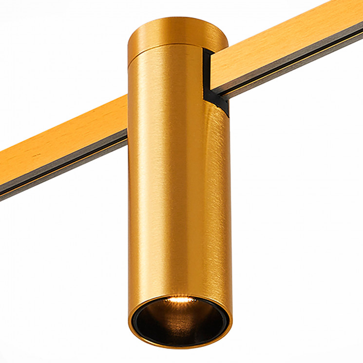 Магнитный трековый светильник ST LUCE FARM ST810.206.05