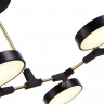 Люстра на штанге Evoluce SLE6004-402-06 MONTA