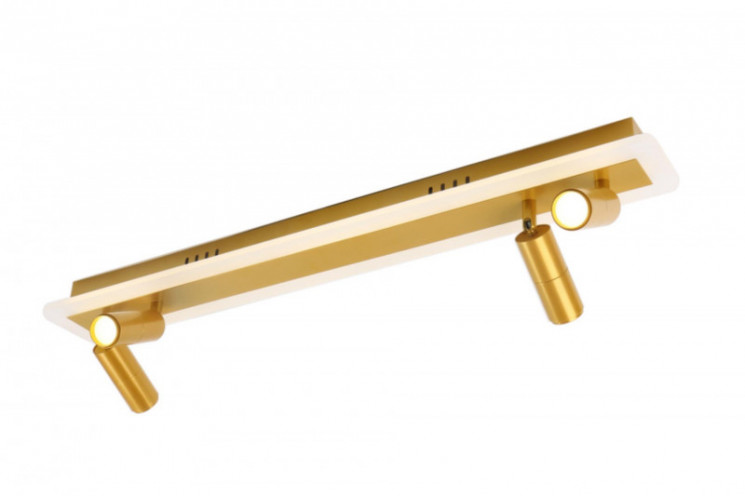 Накладной светильник ARTE Lamp A2607PL-30GO TOMMY