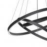 Подвесная люстра Maytoni MOD058PL-L100BK Rim