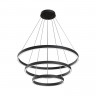 Подвесная люстра Maytoni MOD058PL-L100BK Rim
