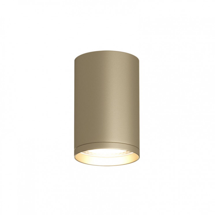 Накладной светильник Denkirs DK2050-SG TUBE