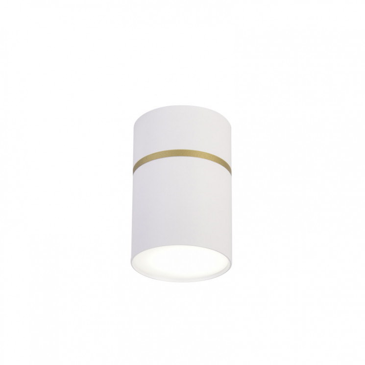 Накладной светильник Favourite 3067-1C Dunia