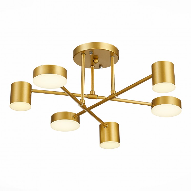 Светильник потолочный Evoluce SLE201022-06 NOBEL