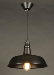 Подвес Citilux CL450204