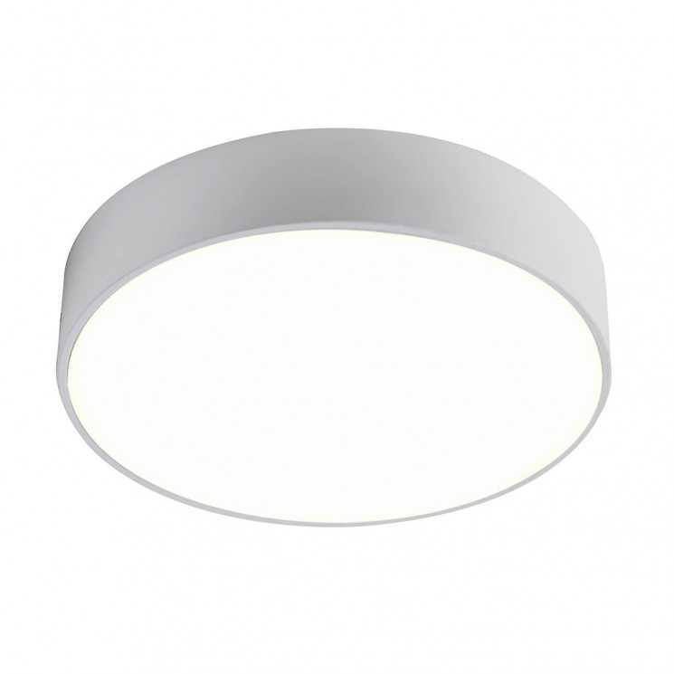 Потолочный светильник Favourite 2065-24C Flashled