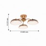 Люстра F-Promo Ledante 2473-3P