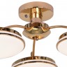 Люстра F-Promo Ledante 2473-3P