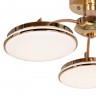 Люстра F-Promo Ledante 2473-3P