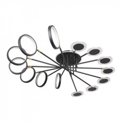 Накладная люстра LOFT IT 10164L Black Megan